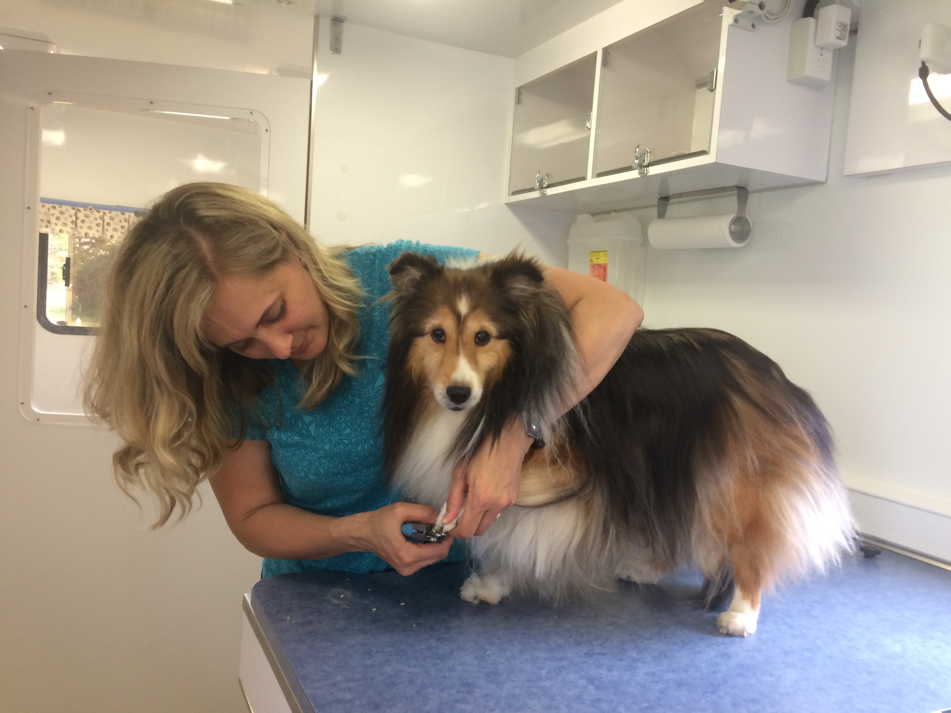 Maggie and Dr. Jill trimming nails